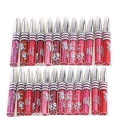 Lots of 24 Pcs High Quality Lip Gloss Makeup H1114