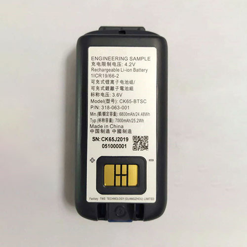 318-063-001 battery