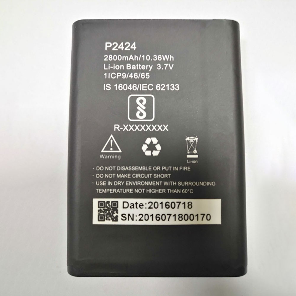 P2424 batteries