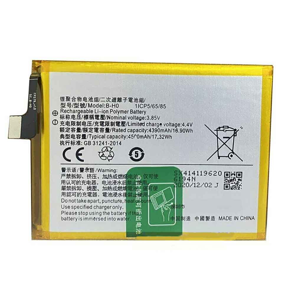 B-H0 batteries