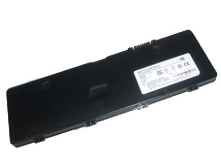 R81 battery