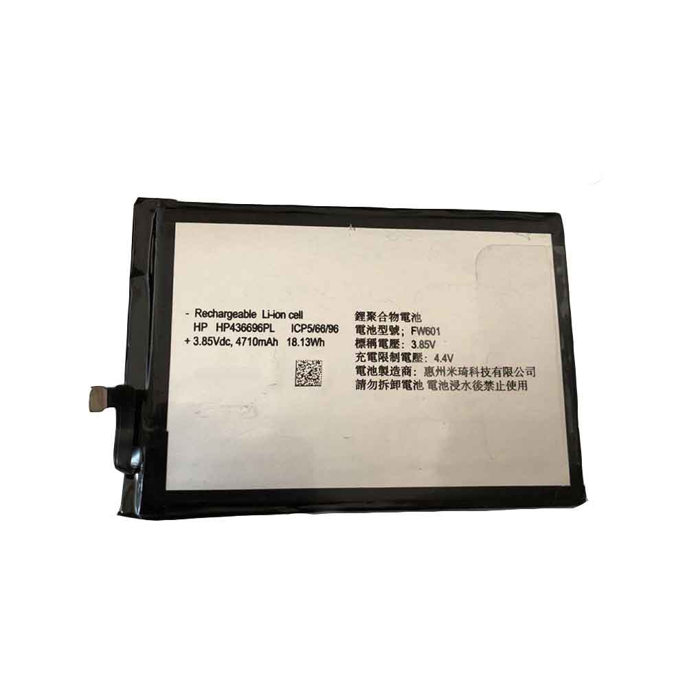 FW601 battery