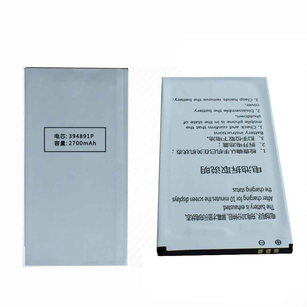 394891P battery