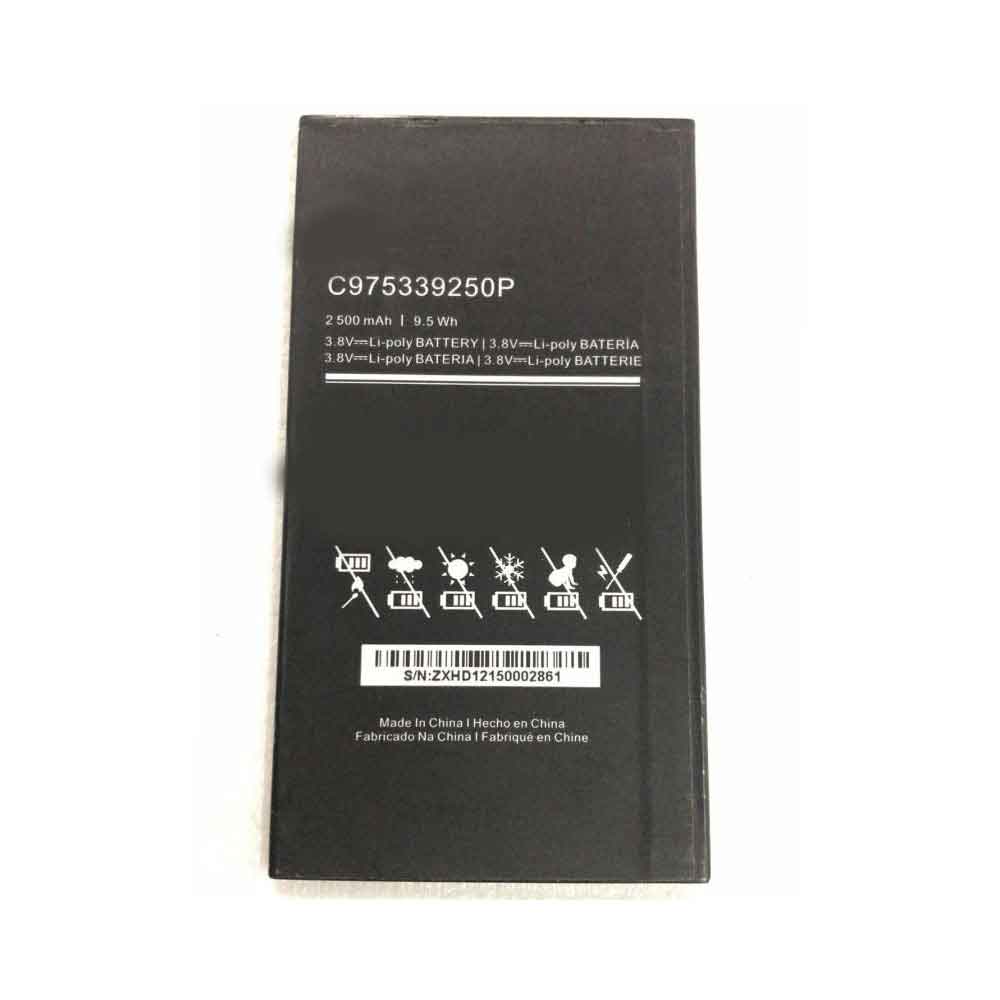 C975339250P battery