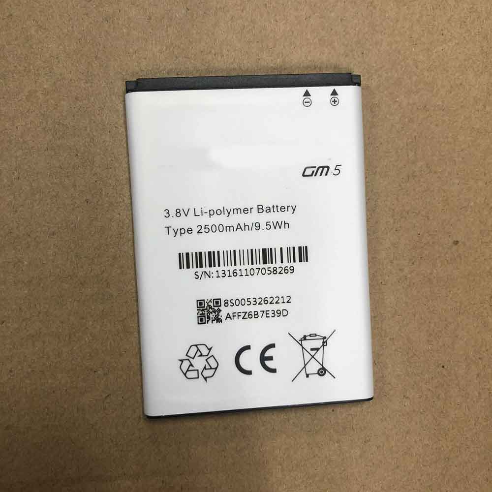 GM5 battery